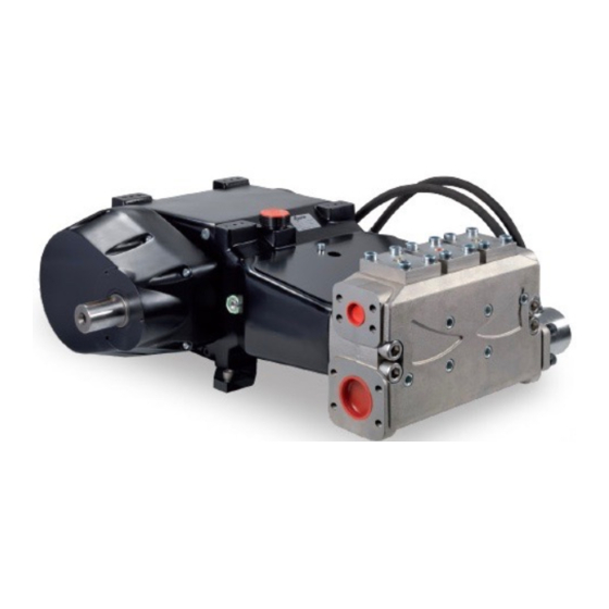 Comet HPP RLR Series Instruction Manual