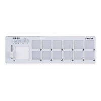 iCON iPAD Owner's Manual