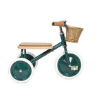 BANWOOD TRIKE Manual