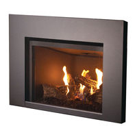 Superior Fireplaces DRI2032TEN Installation And Operation Manual