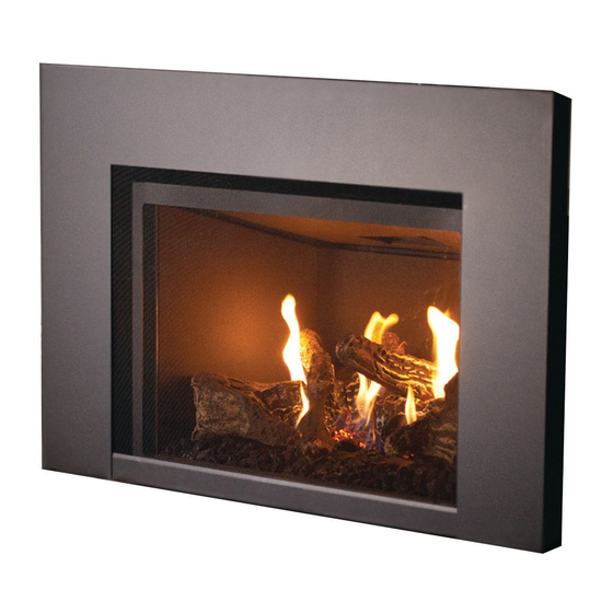 Superior Fireplaces DRI2000TEN Series Manuals