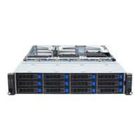 Gigabyte R243-E33-AAL1 User Manual