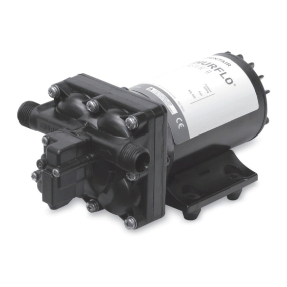 Pentair SHURFLO BLASTER 4238 Series Manual