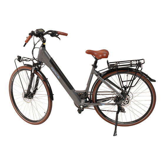 wayscral EVERYWAY E-250 Manual