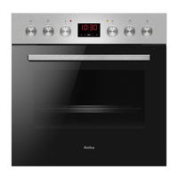 Amica 2022I(G)2.39eEHiTbHbDX Instruction Manual