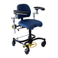 Rini Carl Swing R6 User Manual
