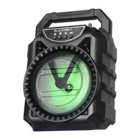 BLACKPOINT S29 User Manual