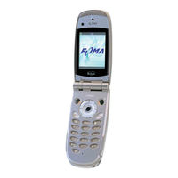 Foma N900i '04.2 Manual