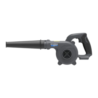 Hyundai BW20S User Manual