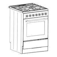 Classique CLFSG60SS Instruction Manual
