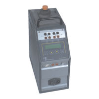 Eurotron MicroCal T500+ Instruction Manual