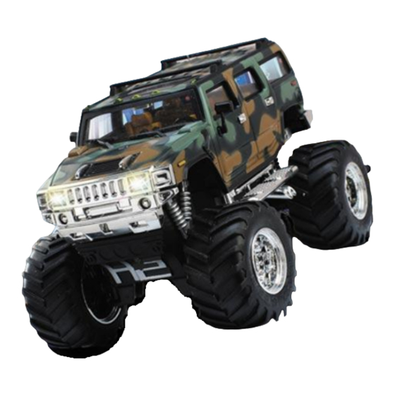 Rayline R201 Manual