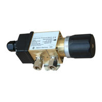 FISCHER DS31 Operating Manual