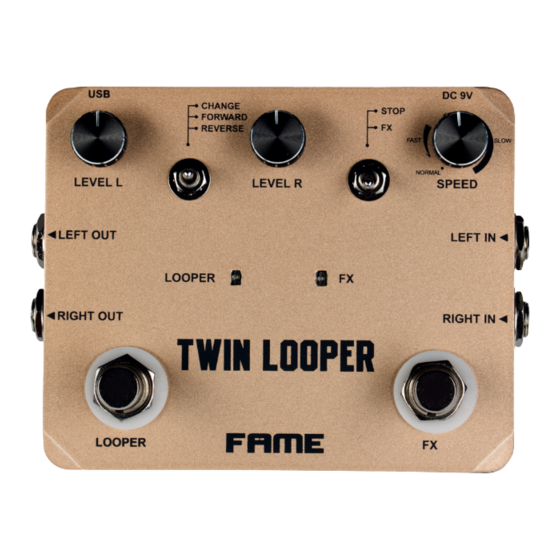 FAME Twin Looper Manuals