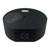 Audio System SUBFRAME R10 FLAT EVO User Manual