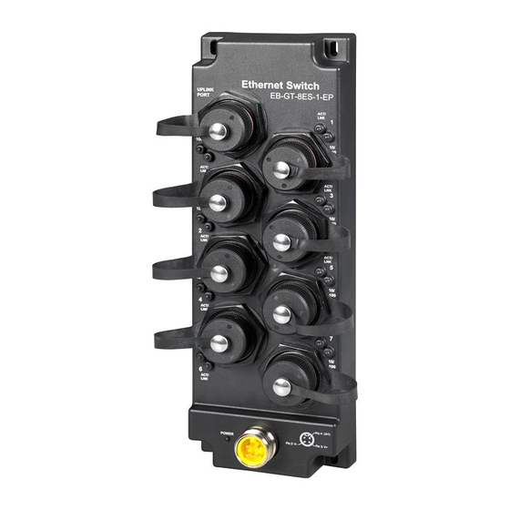red lion EB-GT-8ES Series Installation And Maintenance Manual