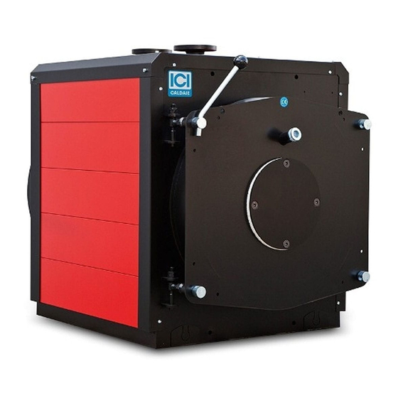 ICI Caldaie REX 7 Instructions For Installation, Use And Maintenance Manual