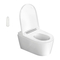 Geberit AQUACLEAN SELA - Toilet Quick Guide