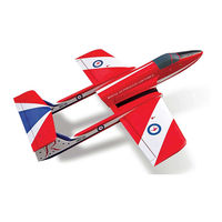 Ripmax NANO Boomerang Instruction Manual