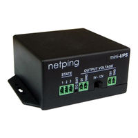 NetPing mini-UPS User Manual