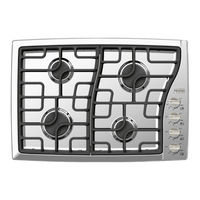 Verona VECTGV365SS Use & Care Manual