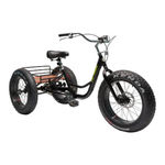 Belize Bicycle TRI-RIDER Assembly Manual