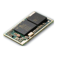Laird BTM510 User Manual
