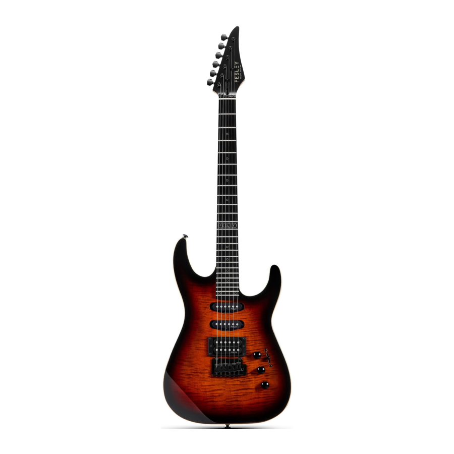 Fesley FDK800 - Electric Guitar Manual