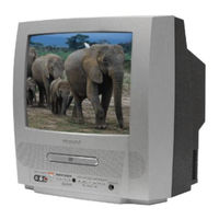 Magnavox 13MDTD20 - Dvd-video Player User Manual