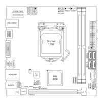 Biostar Z490T-SILVER Manual