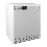 Protherm Grizzly 100 KLO Manual For Instruction And Use