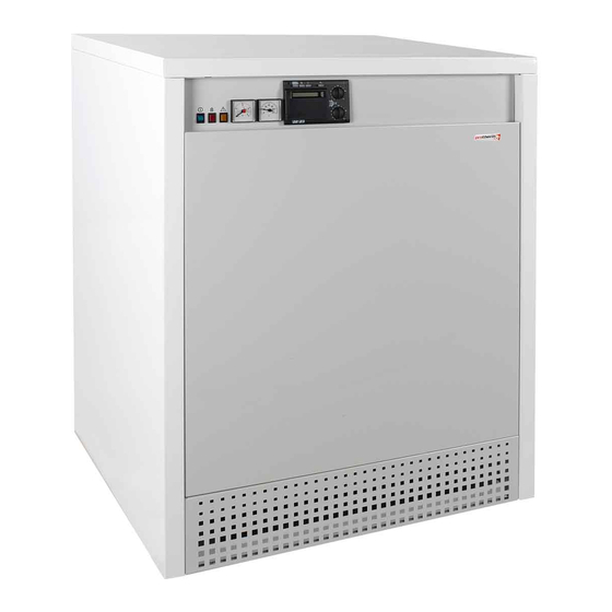 Protherm 65 Manual For Instruction And Use