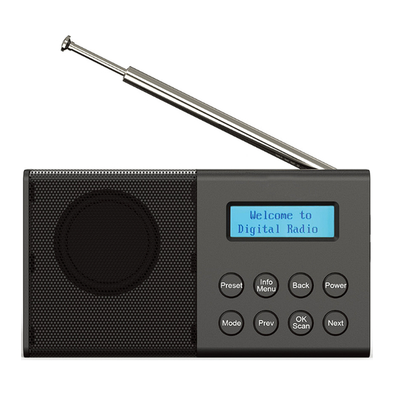 Laser SPK-DABFM-429 User Manual