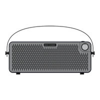 Hotone PULZE AP-30WH User Manual