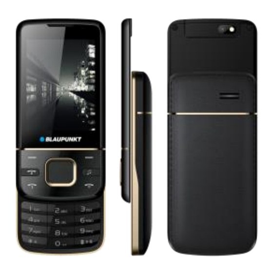 Blaupunkt FM 01 User Manual