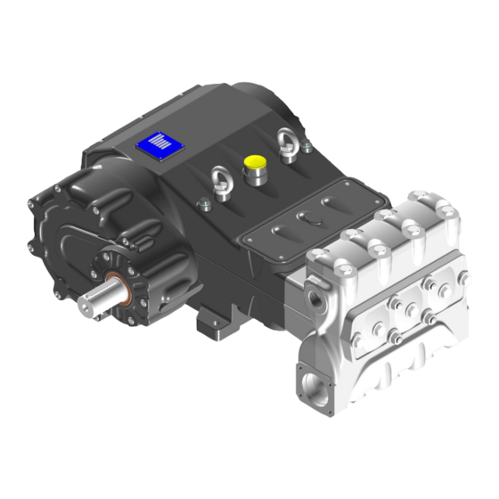 Interpump Group Pratissoli MK29M Series Repair Manual
