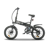Torrot Electric Citysurfer User Manual