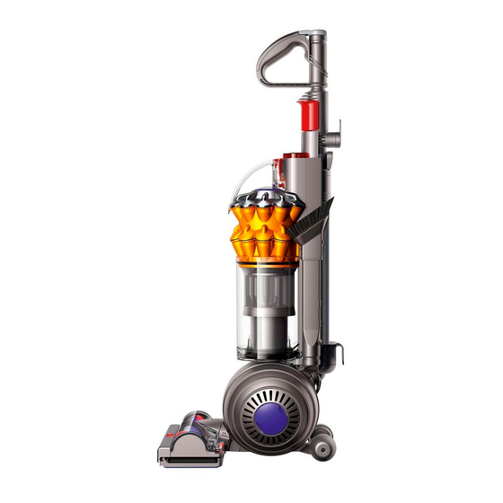 Dyson small ball Manuals