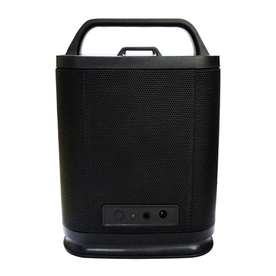 DSPPA DSP5505R Owner's Manual