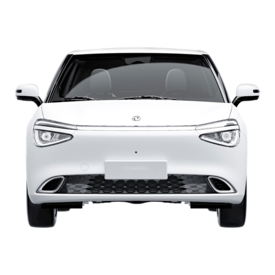 DongFeng Nammi 01 Manual