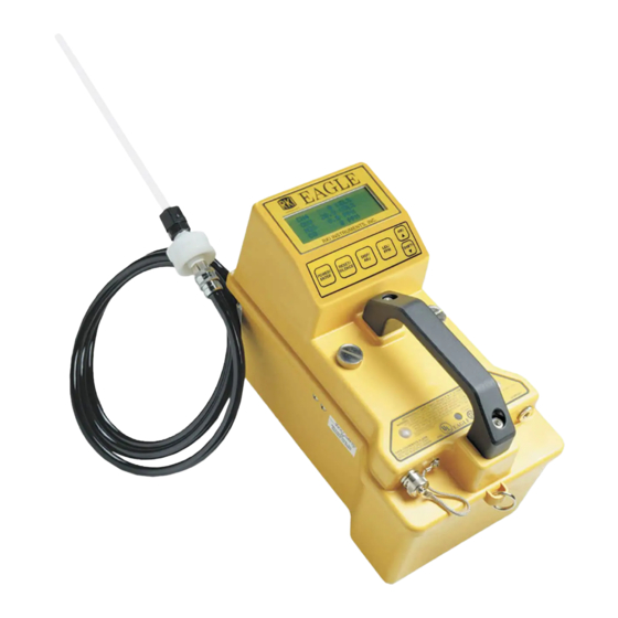 RKI Instruments Eagle Series Instruction Manual
