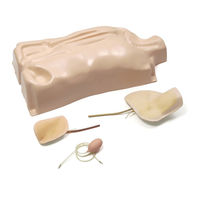laerdal IV Torso Directions For Use Manual