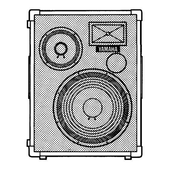 Yamaha R S300 Manuel D'utilisation