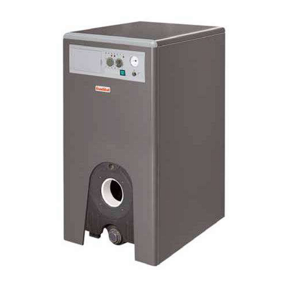 Fondital ELBA DUAL Installation, Use And Maintenance Manual
