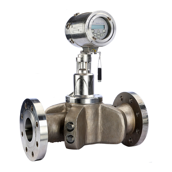 Baker Hughes PanaFlow Z1G Installation Instructions