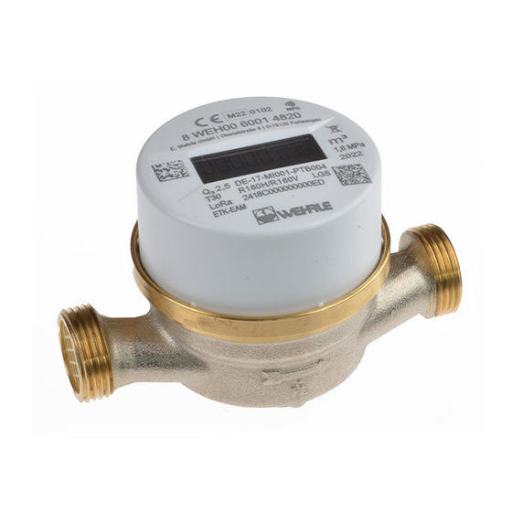 WEHRLE Inline 500 WECOUNT Quick Start Manual