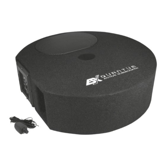 ESX Quantum Q300Av2 Manual