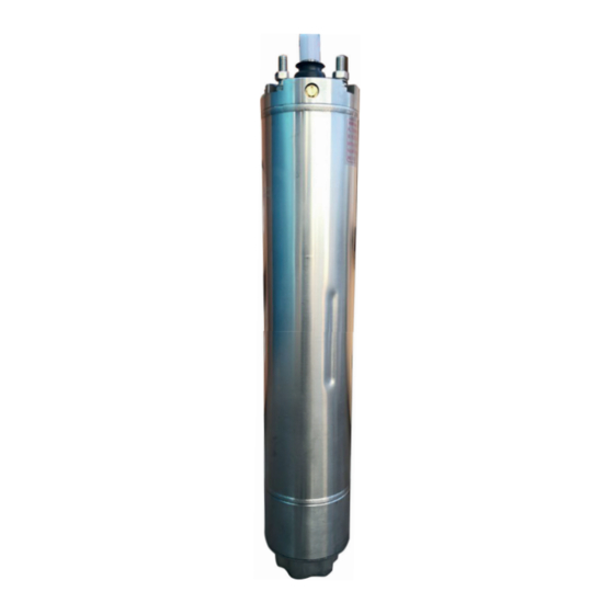 PYD Electrobombas MOTORES 6 Manual Installation