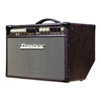 TRAYNOR Acoustic Master Standard Instruction Manual