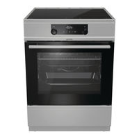 Gorenje EIT6355XPD Detailed Instructions
